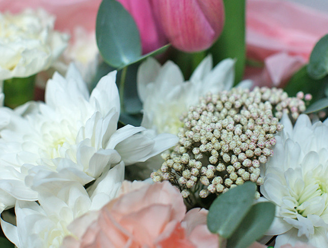 Bouquet with pink tulips and white chrysanthemum photo